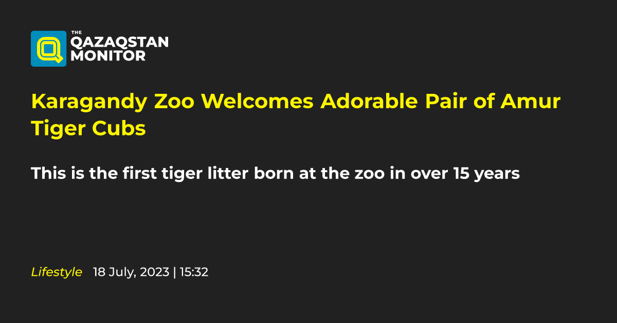 CUTE: Zoo welcomes litter of tiger cubs born on Mother's Day